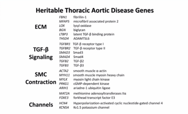 Heritable thoracic aortic disease genes