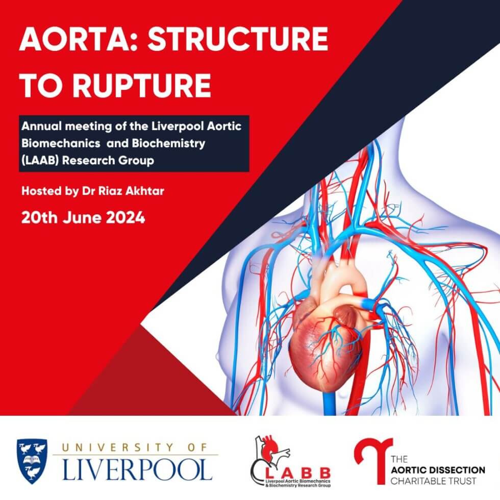 Aorta Structure to Rupture 2024 Liverpool