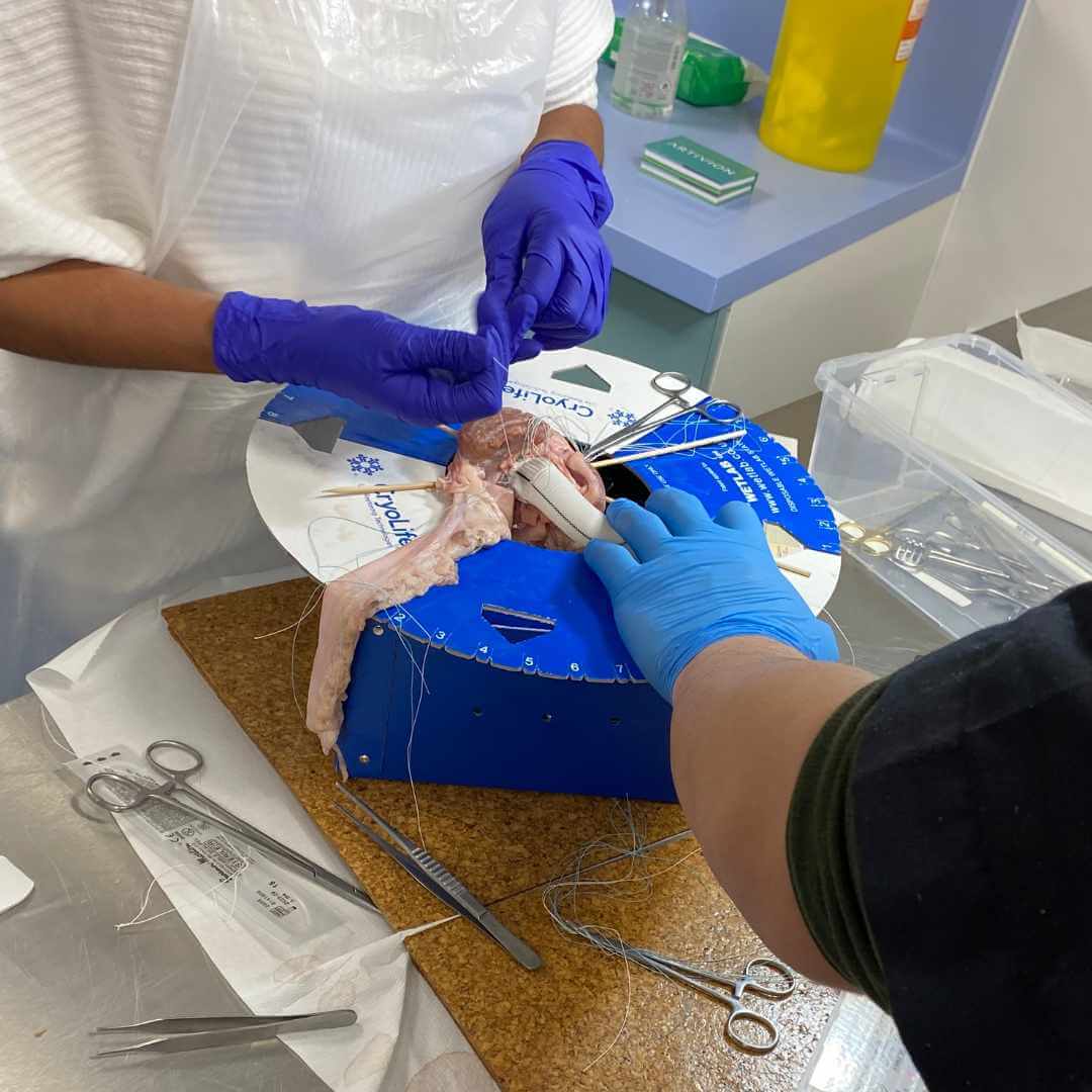 Aortic dissection practical learning and education event wetlab