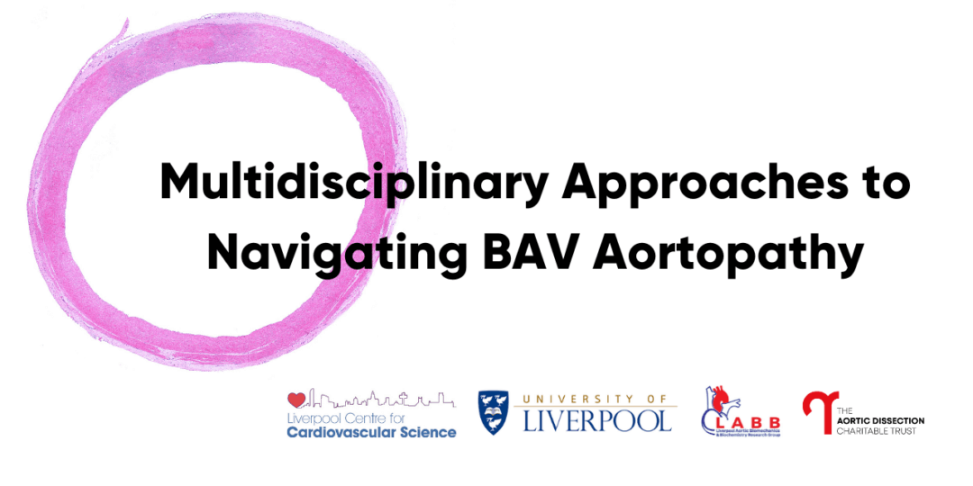 Multidisciplinary Approaches to Navigating BAV Aortopathy