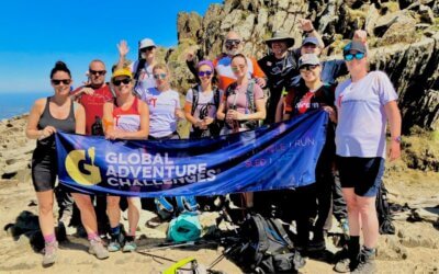 Climbing Mountains for Aortic Dissection